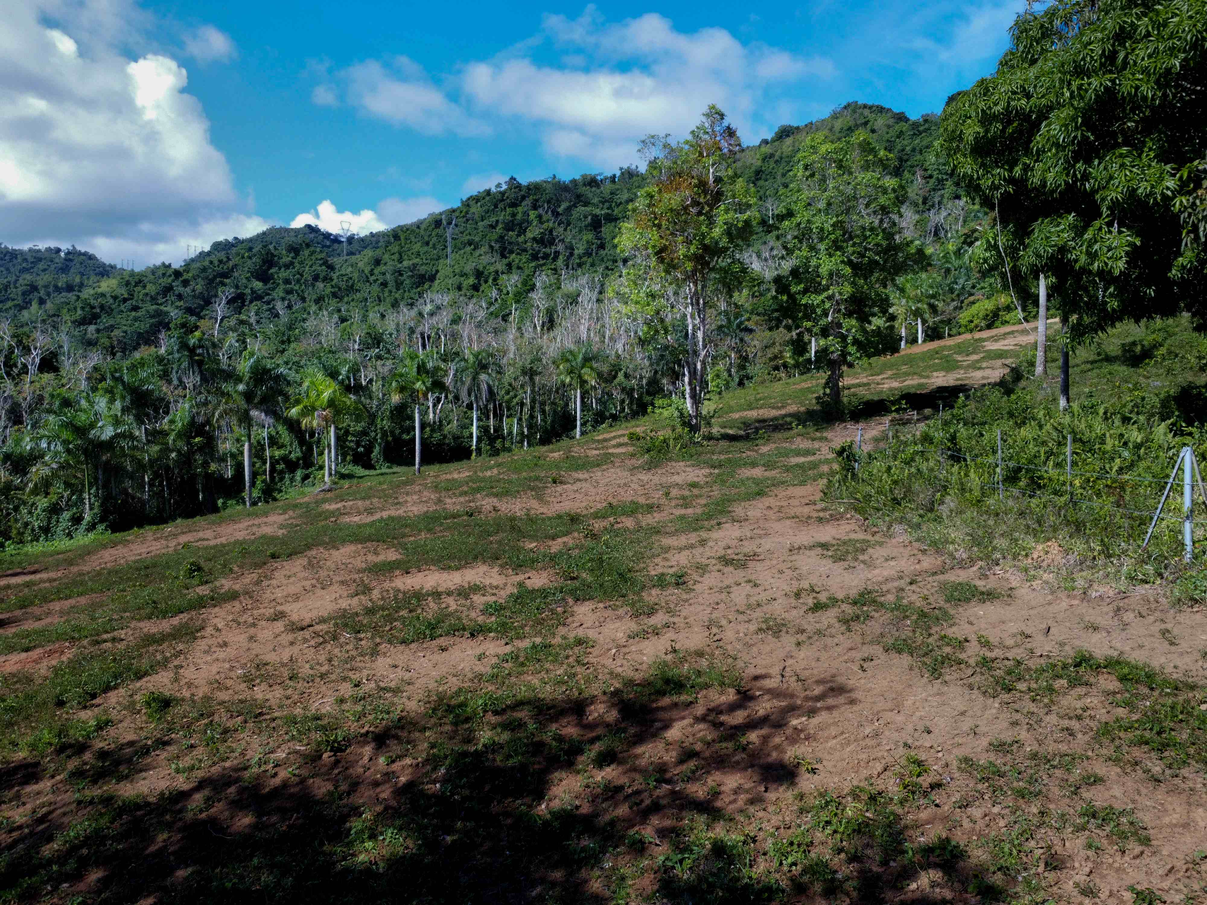 Terreno agricola en ladera de montana