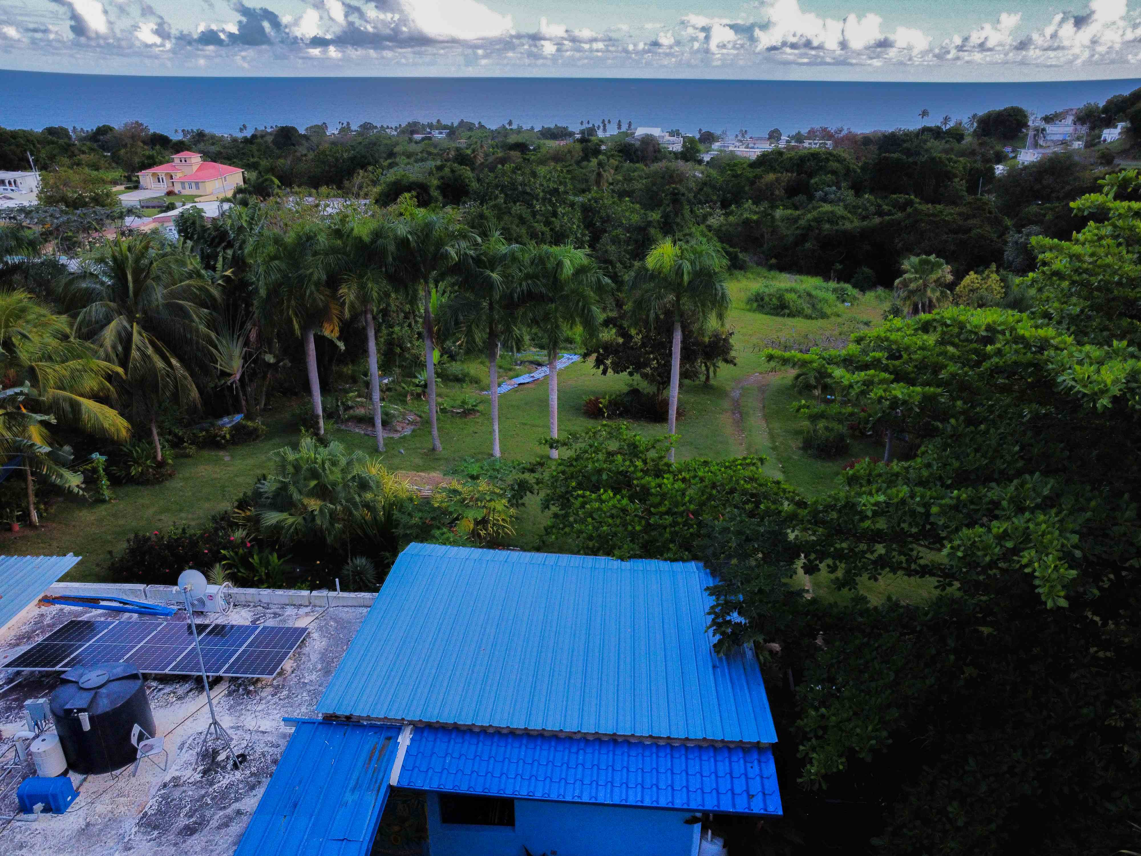Finca tropical con palmas y vista al mar