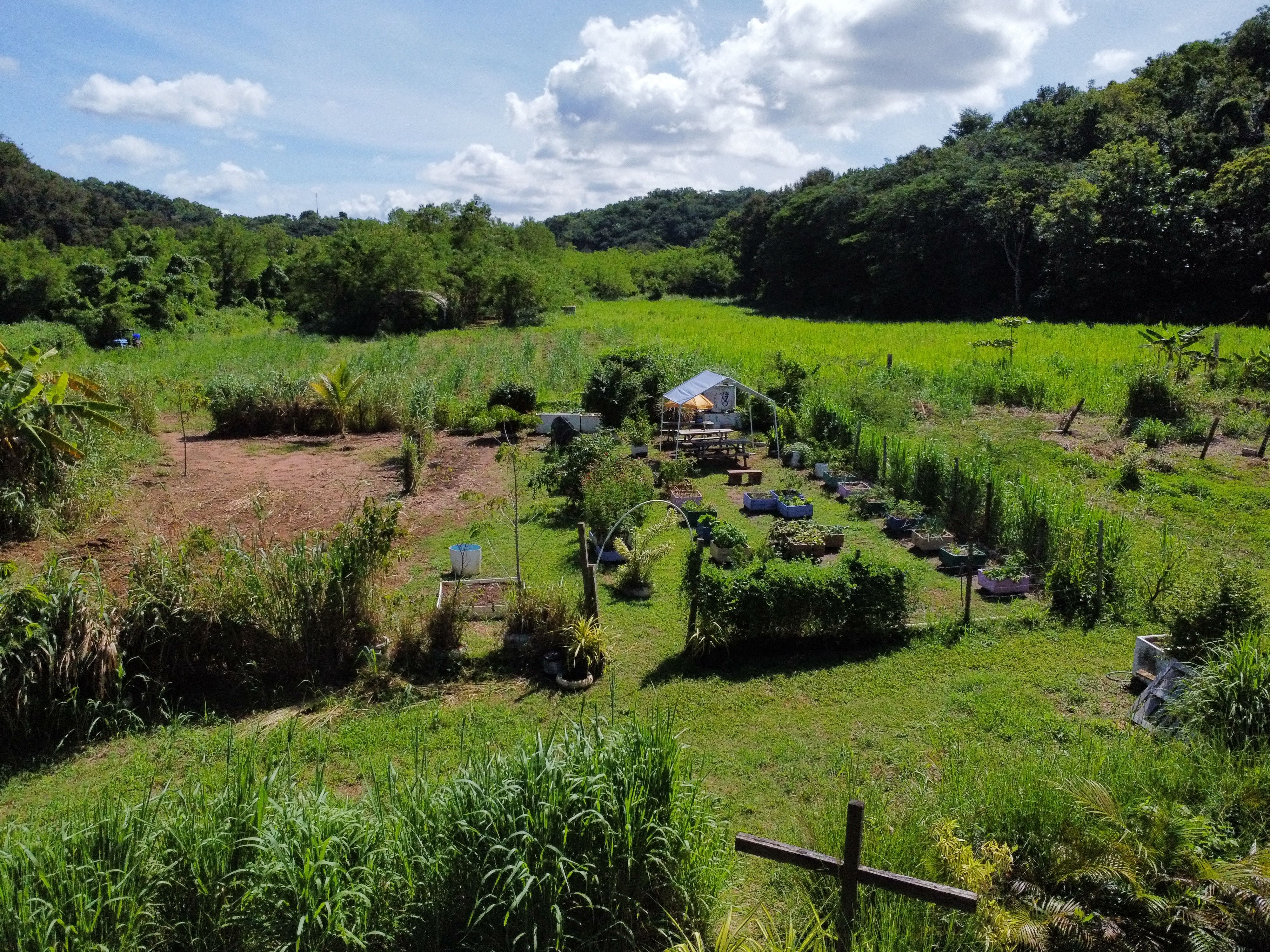 Finca con huerto comunitario y camas de cultivo elevadas