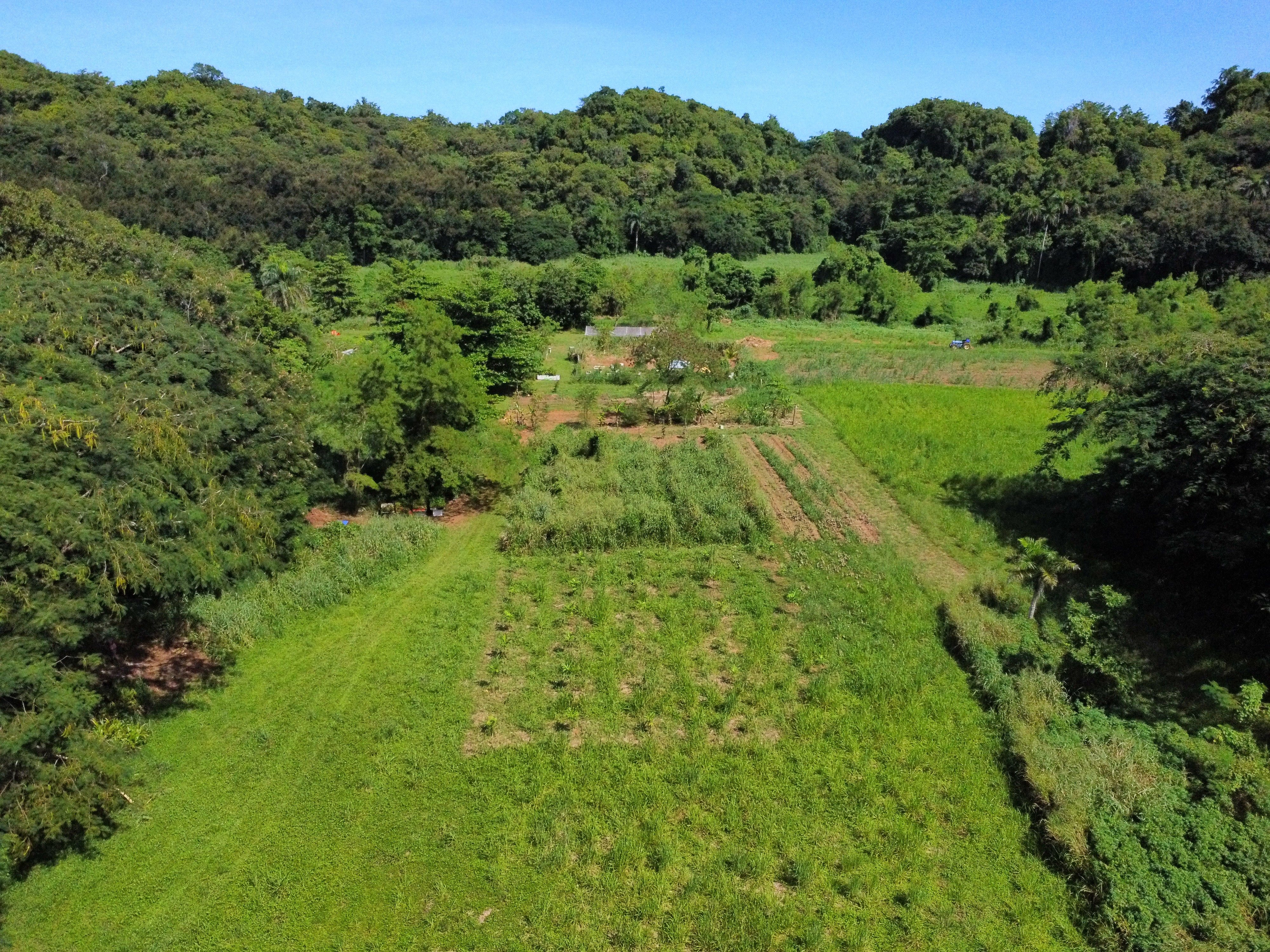 Vista aerea de finca en valle rodeado de bosque tropical