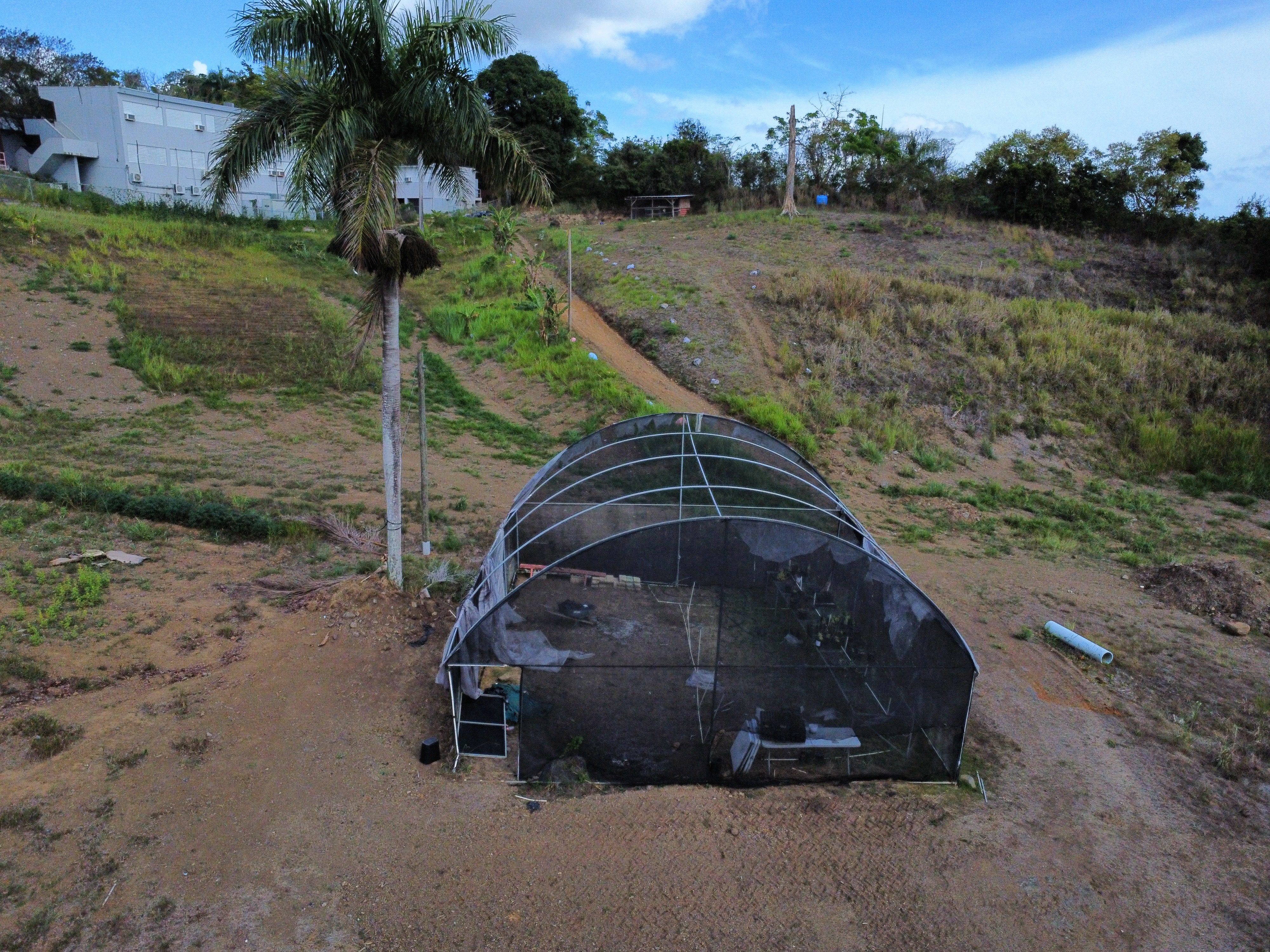 Vista aerea de vivero de produccion escolar con estructura de malla